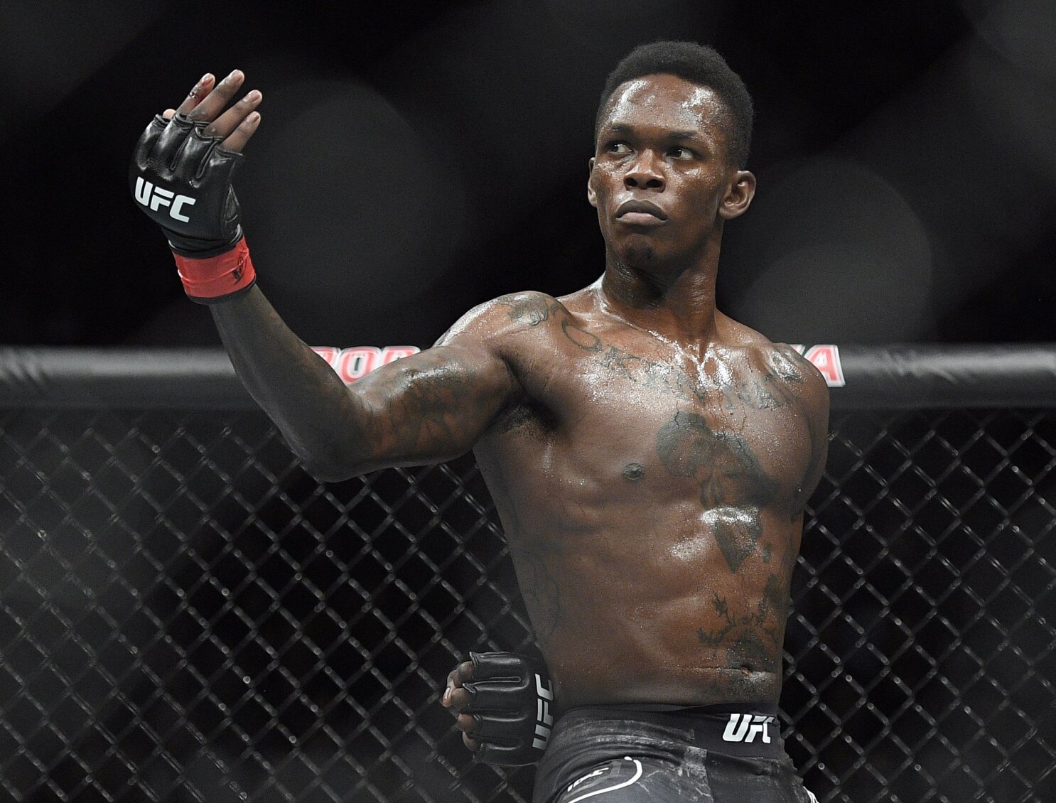 Adesanya fights Blachowicz for 2nd title belt at UFC 259 AP News